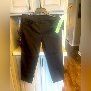 Women’s Briggs, petite work pants, NWT
